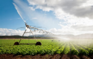 irrigation-and-climate-risks-tool